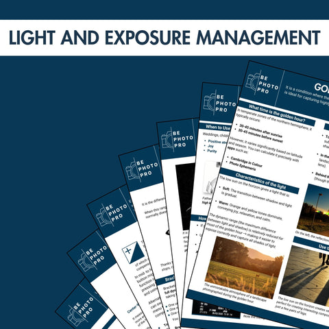 Light and Exposure Management